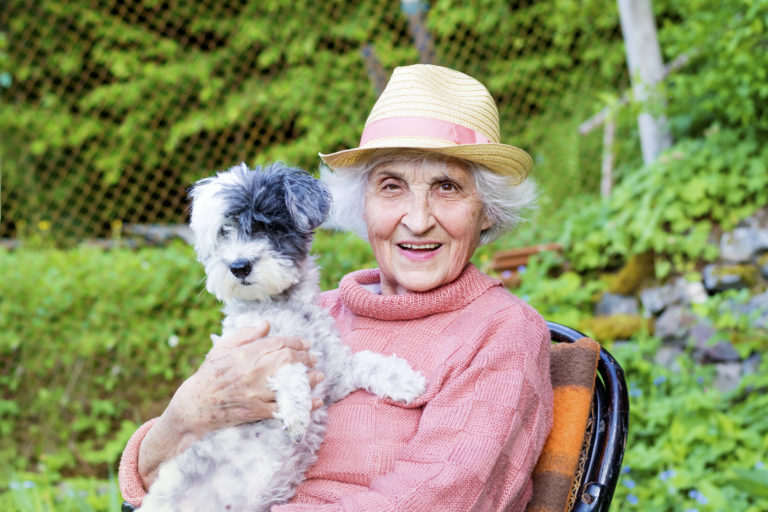 Haustierhilfe für Senioren Rosinas Welt